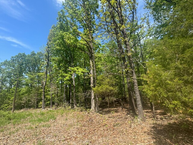 000 Pandamonium Way, Pittsburg, MO 65724