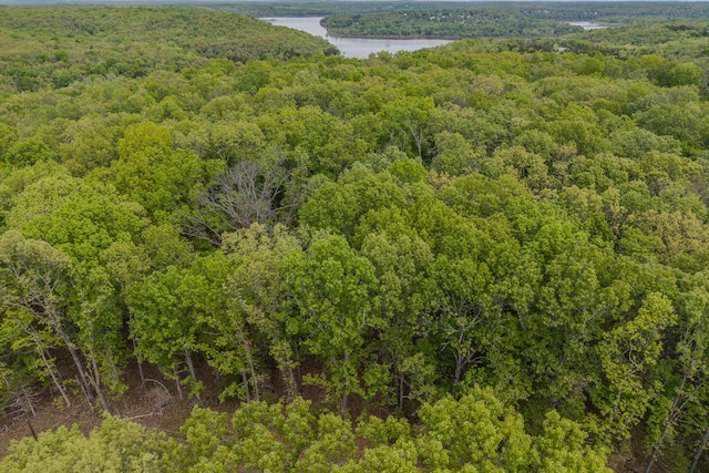000 Pandamonium Way, Pittsburg, MO 65724