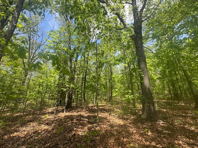 000 Pandamonium Way, Pittsburg, MO 65724