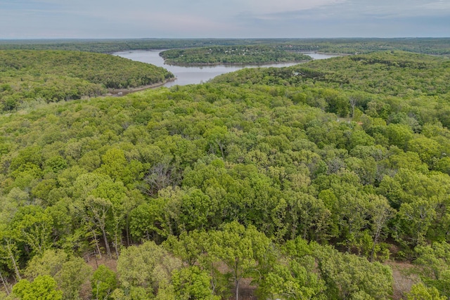 000 Pandamonium Way, Pittsburg, MO 65724