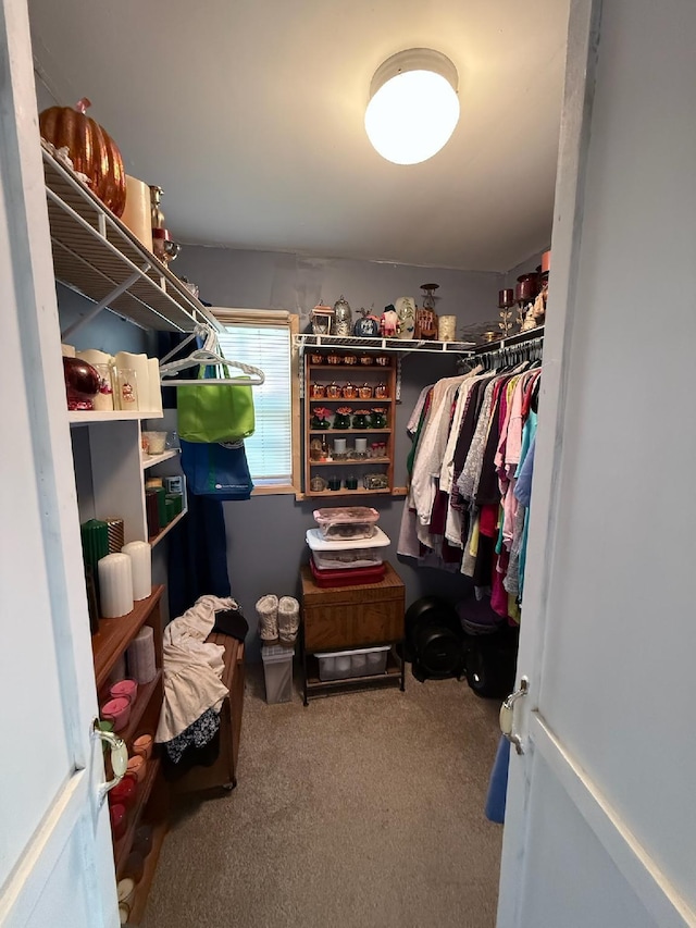 walk in closet with carpet flooring