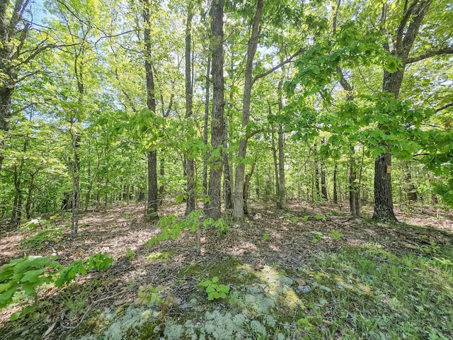 000 County Road 405c, Urbana, MO 65767