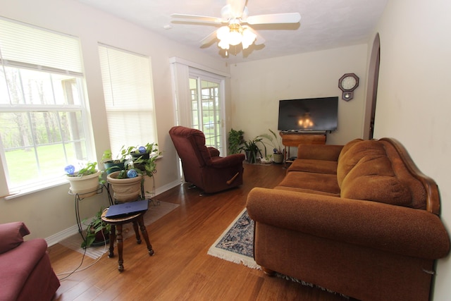 289 Frog Pond Rd, Seymour, MO 65746 - living room featuring ceiling fan, baseboards, and wood finished floors