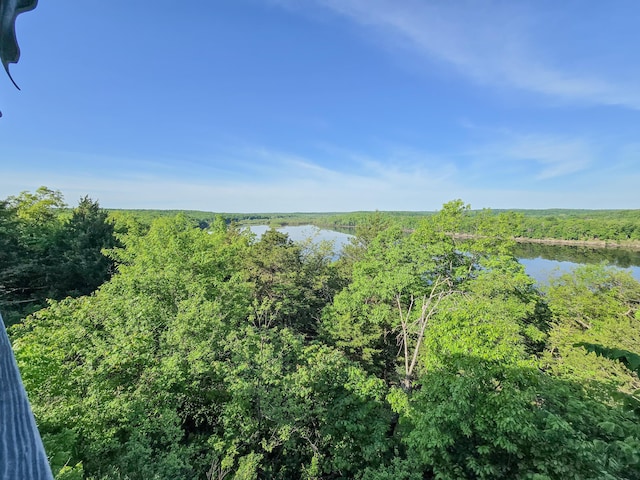 25454 Tulip Pl, Urbana, MO 65767 - water view featuring a view of trees
