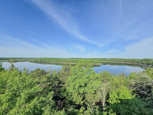 25454 Tulip Pl, Urbana, MO 65767 - property view of water with a view of trees