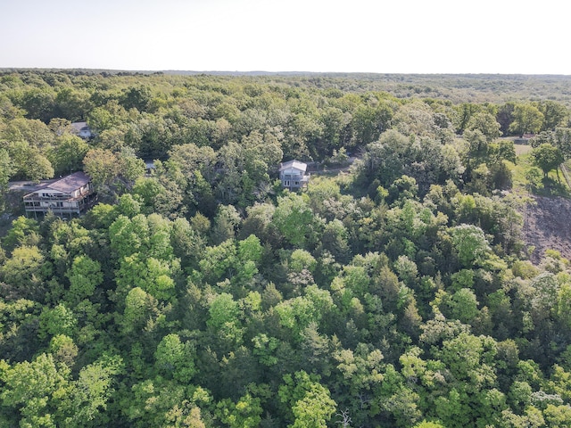 25454 Tulip Pl, Urbana, MO 65767 - bird's eye view with a view of trees