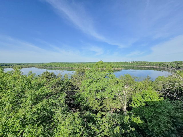 25454 Tulip Pl, Urbana, MO 65767 - water view with a wooded view