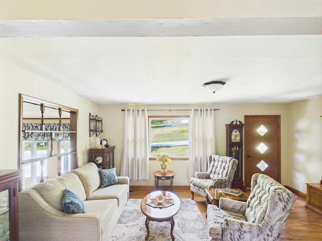 living area featuring wood finished floors and baseboards