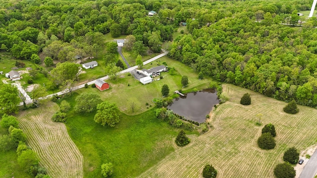 bird's eye view with a water view and a forest view