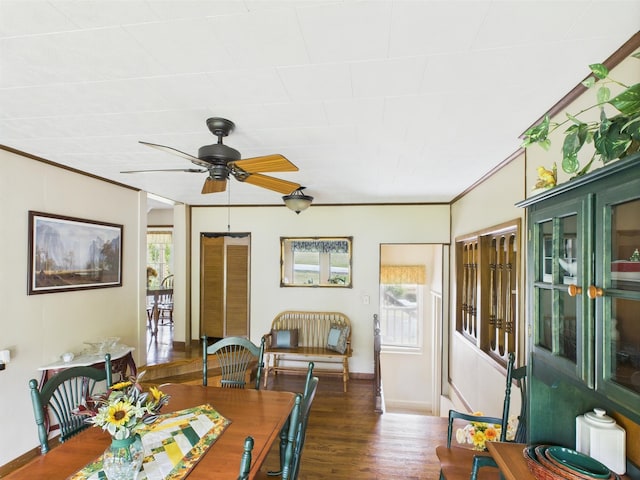 dining area featuring baseboards, a wealth of natural light, ceiling fan, and wood finished floors