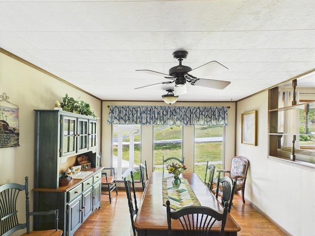 dining room featuring crown molding, ceiling fan, a wealth of natural light, and light wood-style floors