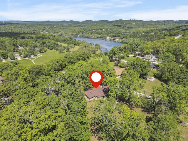 drone / aerial view featuring a water view and a view of trees