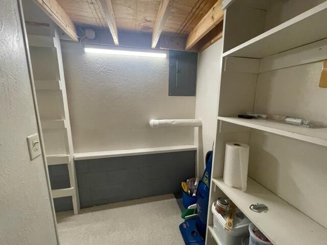 storage featuring electric panel