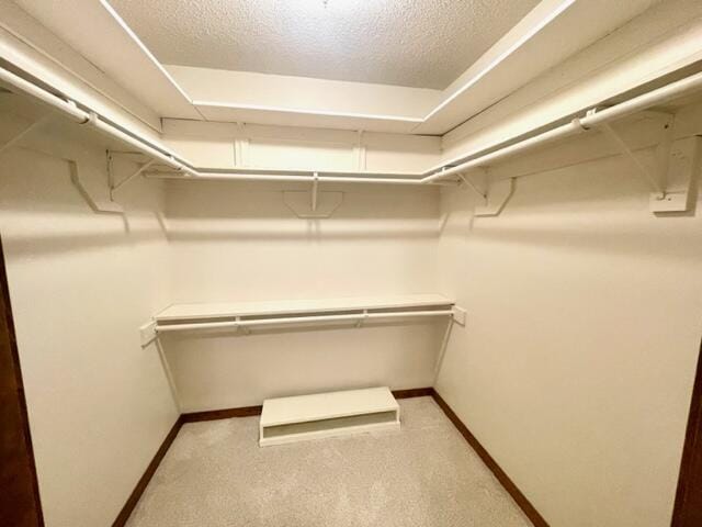 walk in closet featuring light carpet