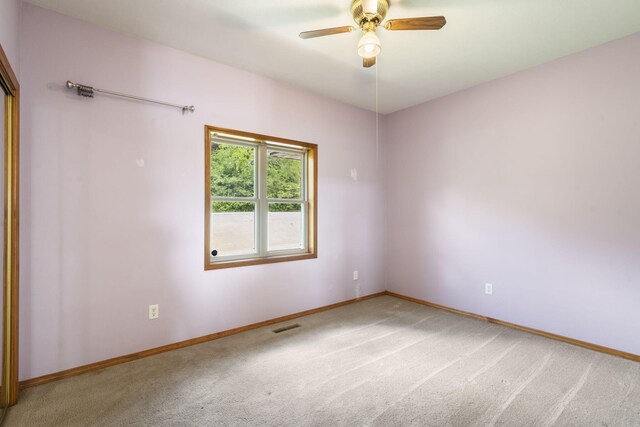 460 Jackson Hollow Rd, Galena, MO 65656 - photo 28