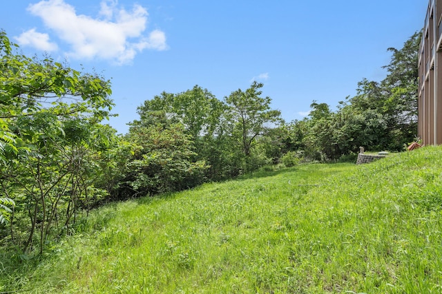 460 Jackson Hollow Rd, Galena, MO 65656 - photo 41