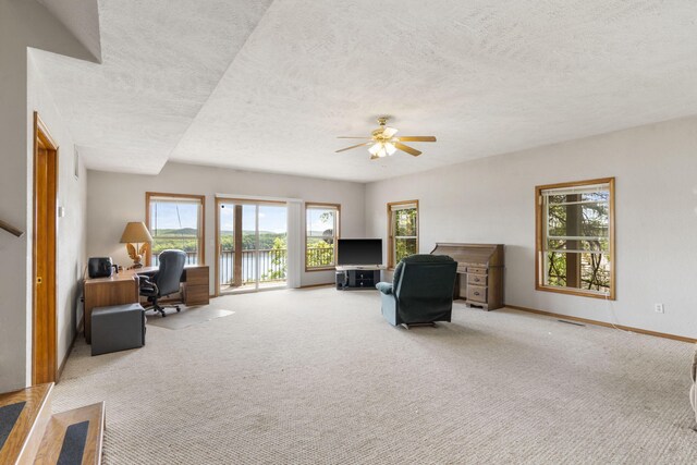 460 Jackson Hollow Rd, Galena, MO 65656 - photo 31