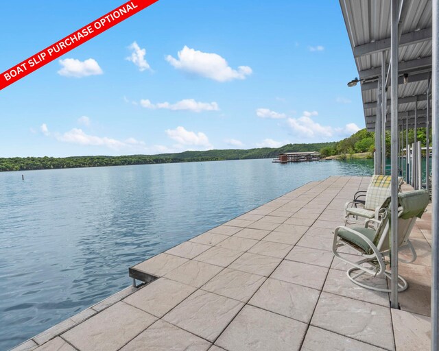 460 Jackson Hollow Rd, Galena, MO 65656 - photo 56