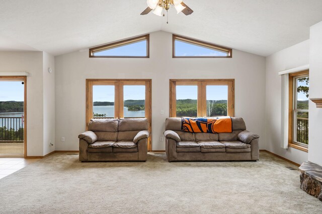 460 Jackson Hollow Rd, Galena, MO 65656 - photo 13