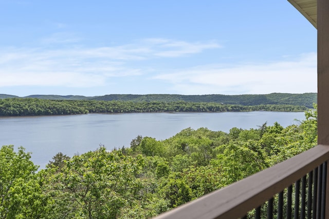 460 Jackson Hollow Rd, Galena, MO 65656 - photo 15