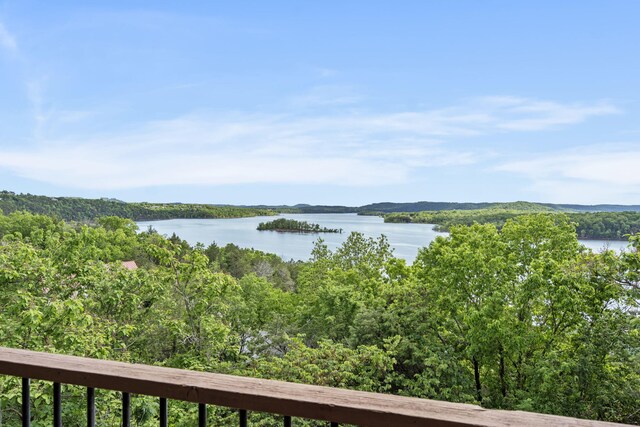 460 Jackson Hollow Rd, Galena, MO 65656 - photo 38