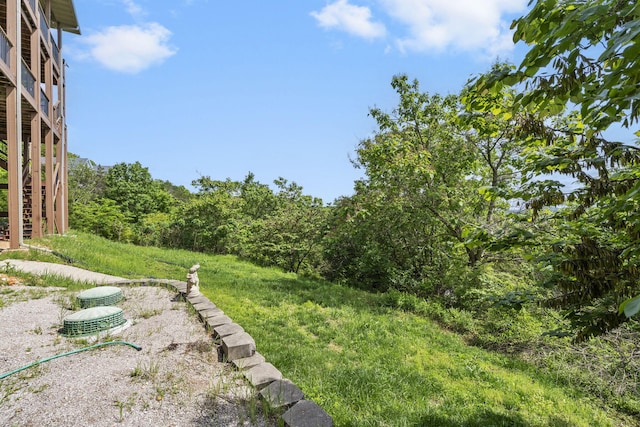 460 Jackson Hollow Rd, Galena, MO 65656 - photo 40