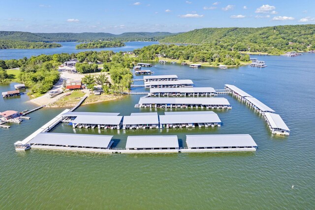460 Jackson Hollow Rd, Galena, MO 65656 - photo 60