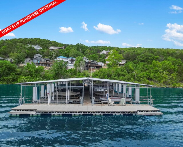 460 Jackson Hollow Rd, Galena, MO 65656 - photo 6