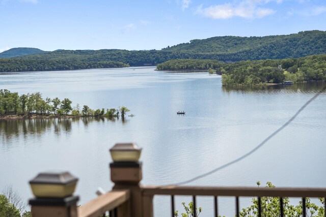 460 Jackson Hollow Rd, Galena, MO 65656 - photo 2