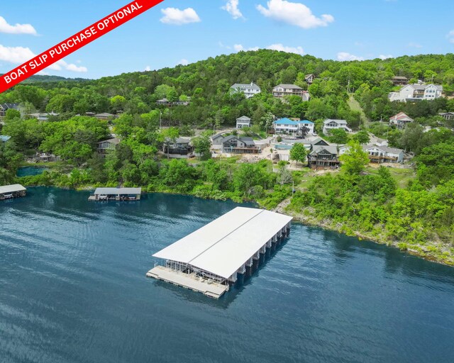 460 Jackson Hollow Rd, Galena, MO 65656 - photo 46
