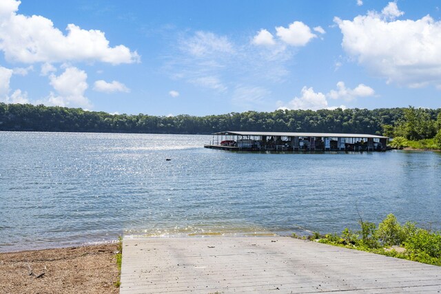 460 Jackson Hollow Rd, Galena, MO 65656 - photo 62
