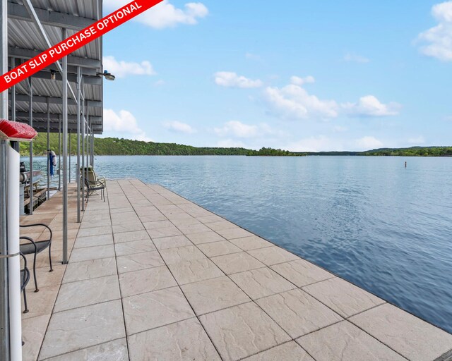 460 Jackson Hollow Rd, Galena, MO 65656 - photo 54