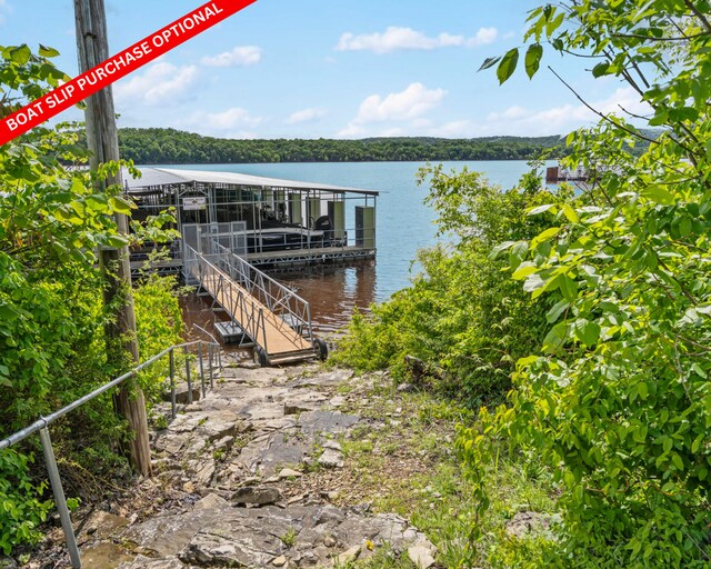 460 Jackson Hollow Rd, Galena, MO 65656 - photo 47