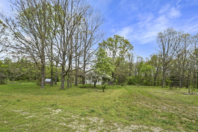 86 Drover Dr, Fair Grove, MO 65648 - photo 10