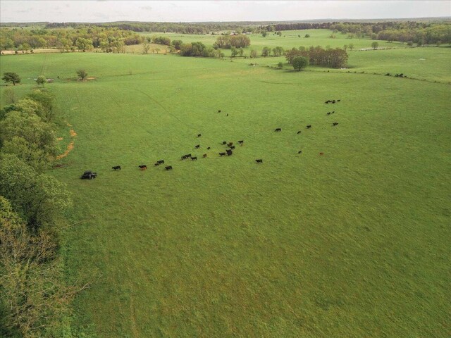 000 County Road 433, Mountain View, MO 65548