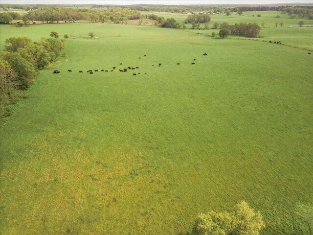 000 County Road 433, Mountain View, MO 65548