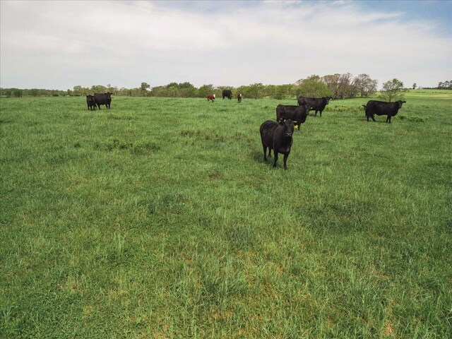 000 County Road 433, Mountain View, MO 65548