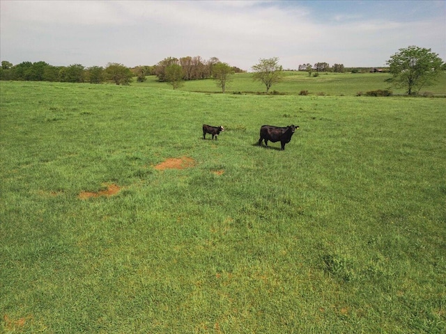 000 County Road 433, Mountain View, MO 65548