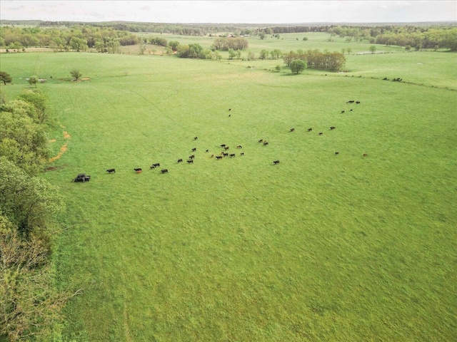 000 County Road 433, Mountain View, MO 65548