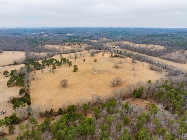 drone / aerial view featuring a rural view