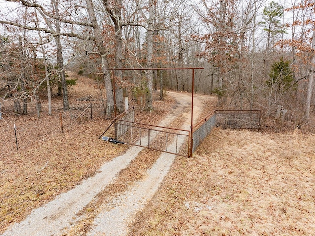 view of yard with fence and dirt driveway