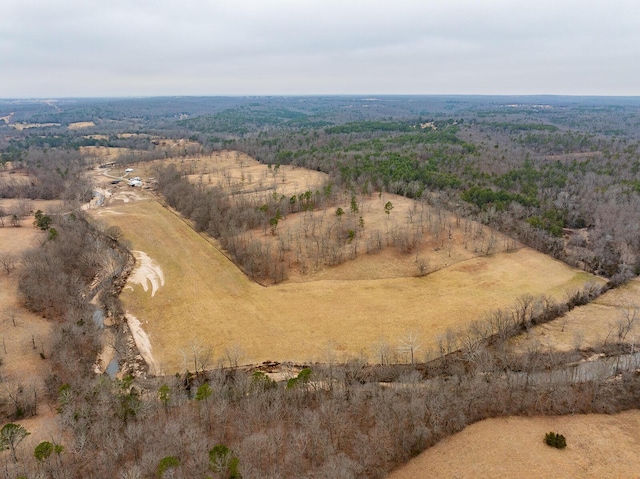 bird's eye view featuring a forest view