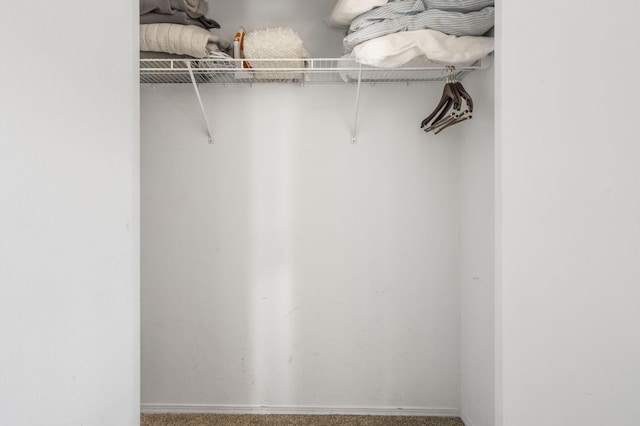 view of closet