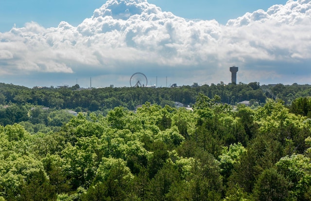 view of mountain feature with a view of trees