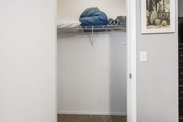 view of closet