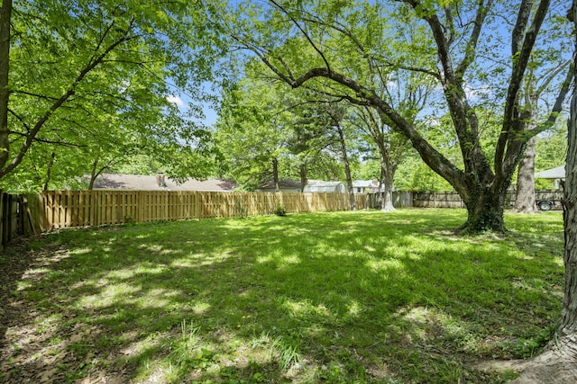 view of yard featuring a fenced backyard