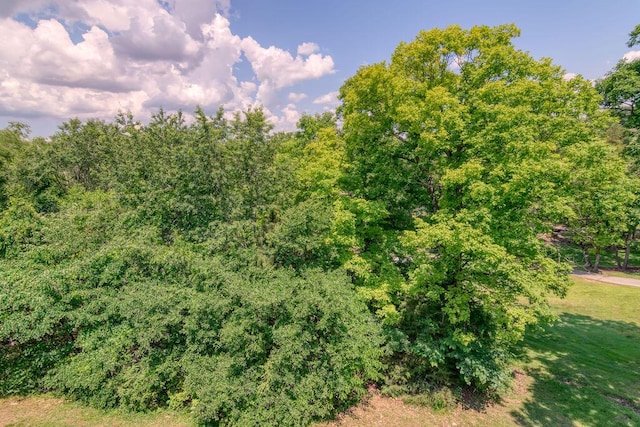 813 Holiday Rdg Unit H-11, Branson, MO 65616 - view of local wilderness