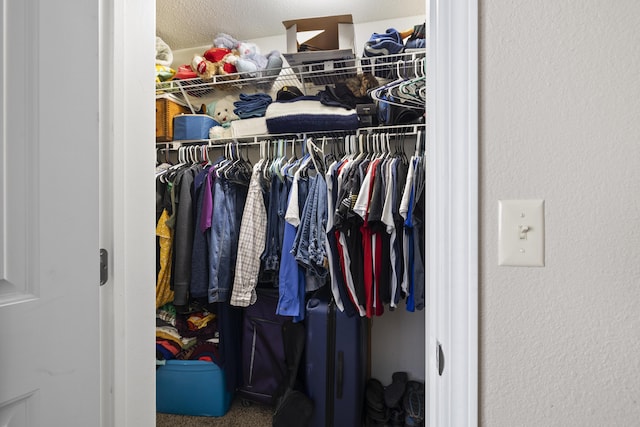 view of closet