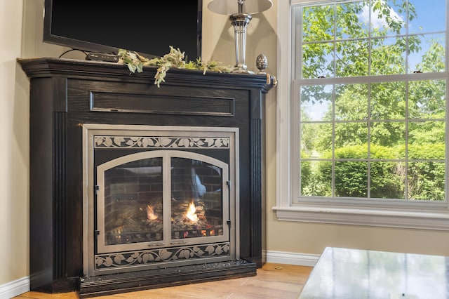 detailed view of a glass covered fireplace, baseboards, and wood finished floors
