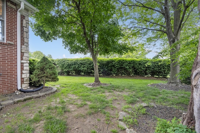 view of grassy yard